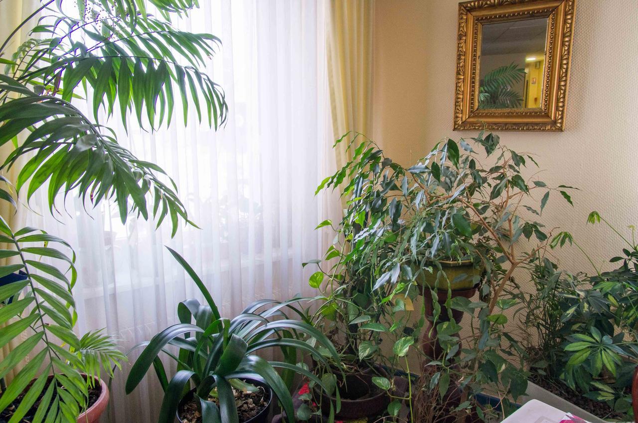 בנצנהיים Hotel De Bale מראה חיצוני תמונה